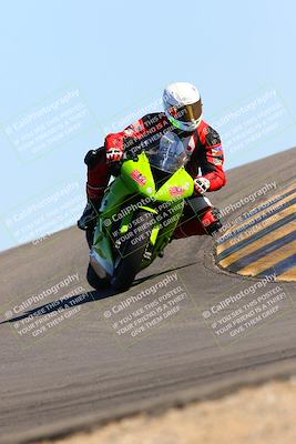 media/Feb-12-2022-SoCal Trackdays (Sat) [[3b21b94a56]]/Turn 12 (140pm)/